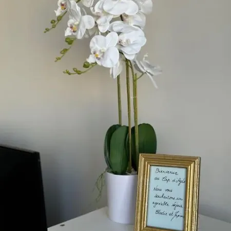 Cap D'agde Ideal Pour 2 Personnes, A 2 Minutes A Pied Du Port Agde