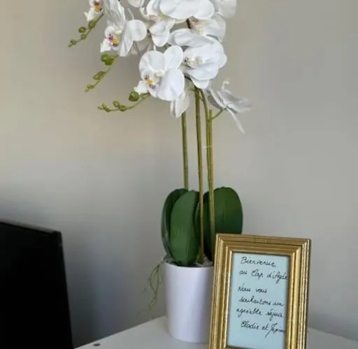 Cap D'agde De 1 à 4 Personnes, A 2 Min Du Port à Pied Agde